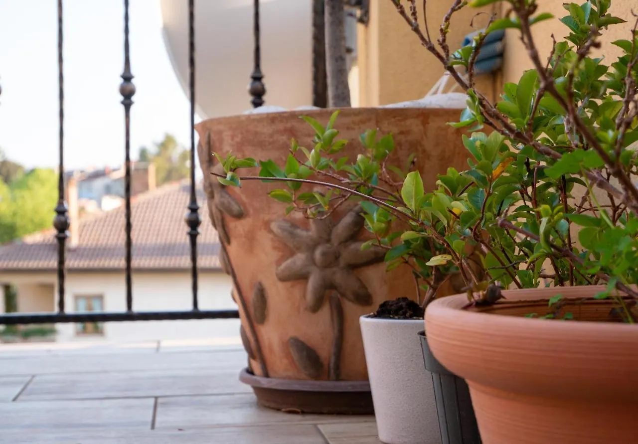 Art Apartment Sole Croatia