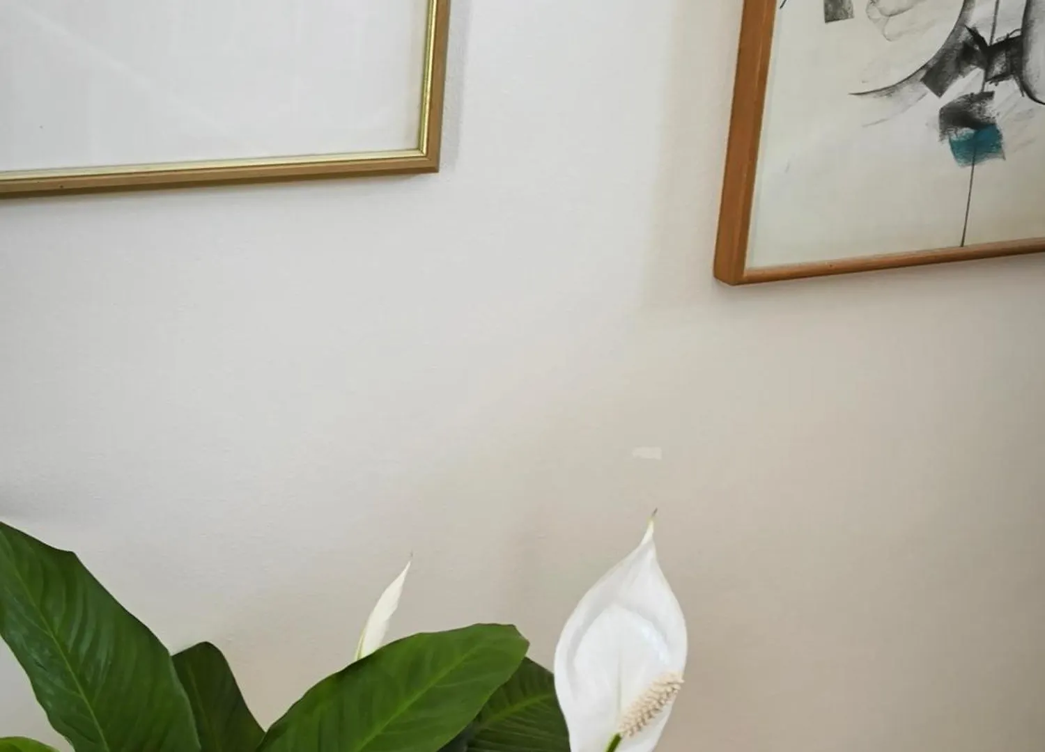 Art Apartment Sole Croatia